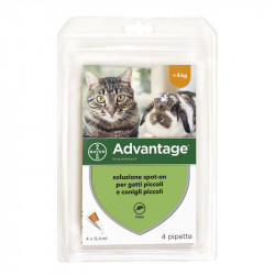 ADVANTAGE SPOT ON PER GATTI E CONIGLI fino 4kg
