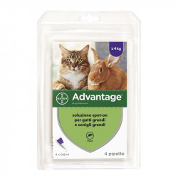 ADVANTAGE SPOT ON 80 VALVA PER GATTI E CONIGLI OLTRE 4KG