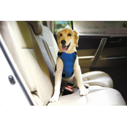 PETTORINA PER AUTO SMALL 42-62 CM 109 G