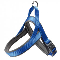 PETTORINA NYLON CON NEOPRENE S - 2X43-50CM