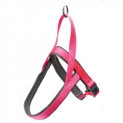 PETTORINA NYLON CON NEOPRENE M- 2,5X52-60CM