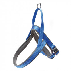 PETTORINA NYLON CON NEOPRENE L - 2,5X63-70CM
