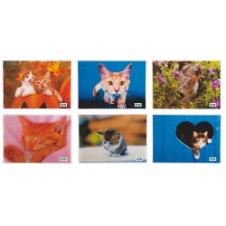 TOVAGLIETTA FOTOGRAFICA ASSORTITA GATTO 42X30 CM