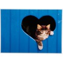 BEST FRIEND TOVAGLIETTA FOTOGRAFICA GATTO 42X30 CM