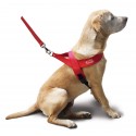 PETTORINA PRENDY MISURA 4 - 48-60CM, 45CM