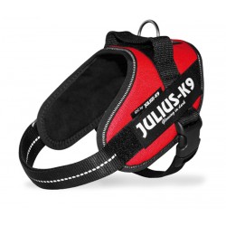 JULIUS K9 IDC POWERHARNESS PETTORINA IN NYLON ROSSO - MINI 49-67CM,KG7-15 KG