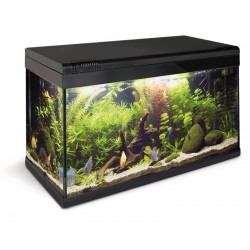 ACQUAFRIEND CHALLENGER NERO,LED,FILTRO,POMPA NERO 60X30X37 60 L