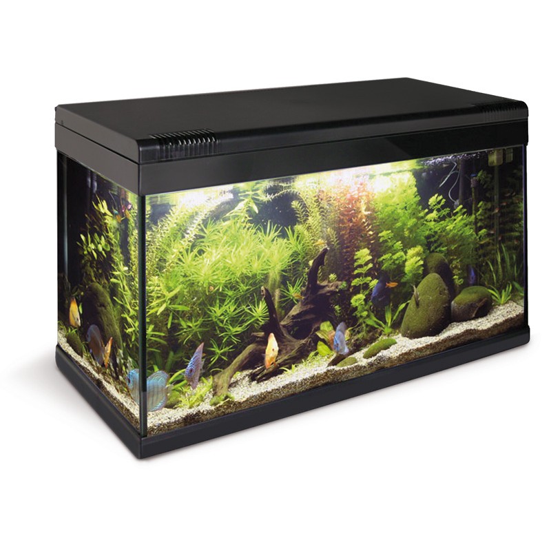 ACQUARIO CHALLENGER C/LUCE/POMPA CM 60X30 60LT