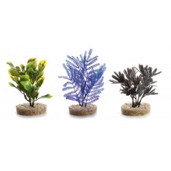 ACQUAFRIEND PIANTA MINI IN DISPLAY 14X8X7 CM
