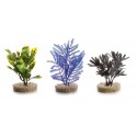 ACQUAFRIEND PIANTA MINI IN DISPLAY 14X8X7 CM