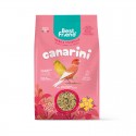 BEST FRIEND MANGIME PER CANARINI 500G 500 G