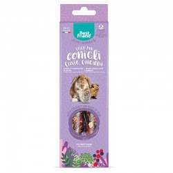 BEST FRIEND 2 PEZZI STICK PER CONIGLI, CAVIE, CINCILLA' 115 RIBES E ERBA