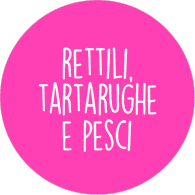 espositori